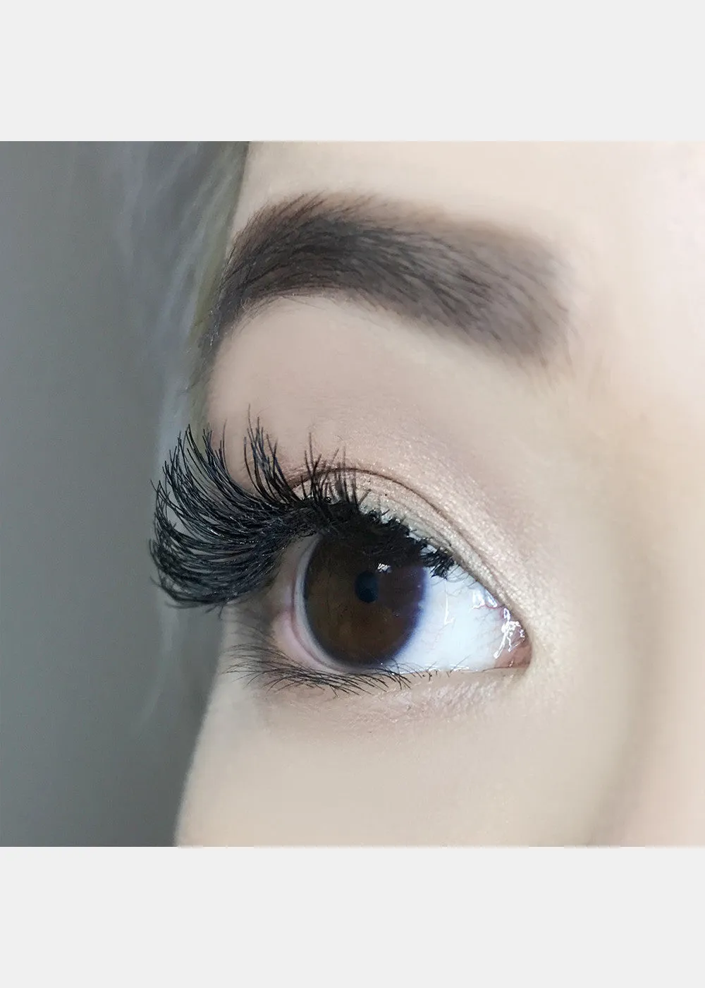 AOA Studio Eyelashes - Scarlette 6-Pack