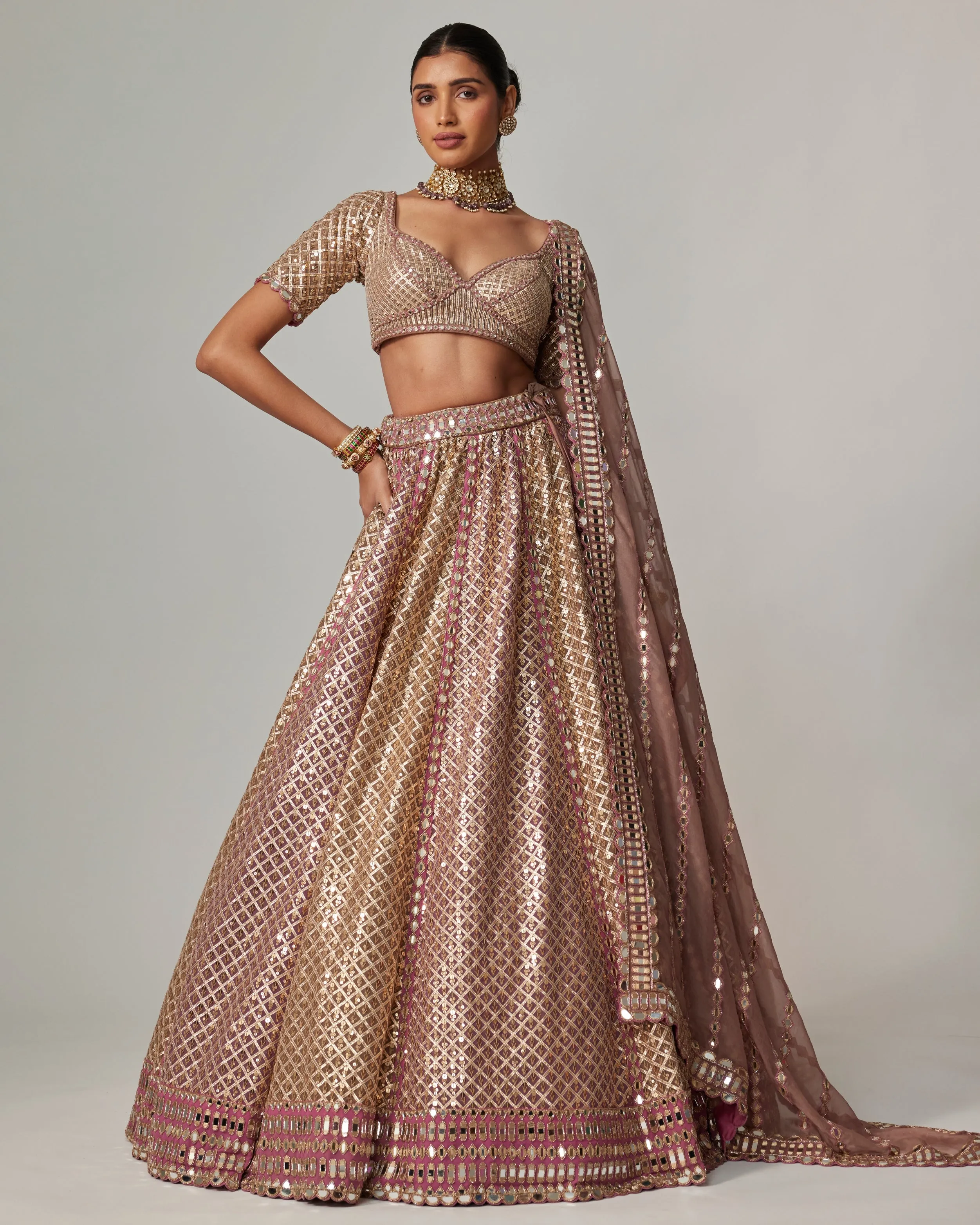Blush Tone Gota Embroidered Lehenga Set