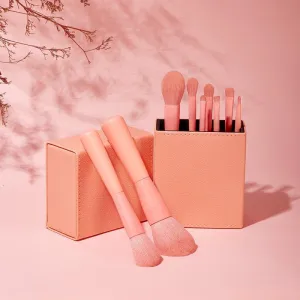 FEIYAN Brushes Pink  Brush set