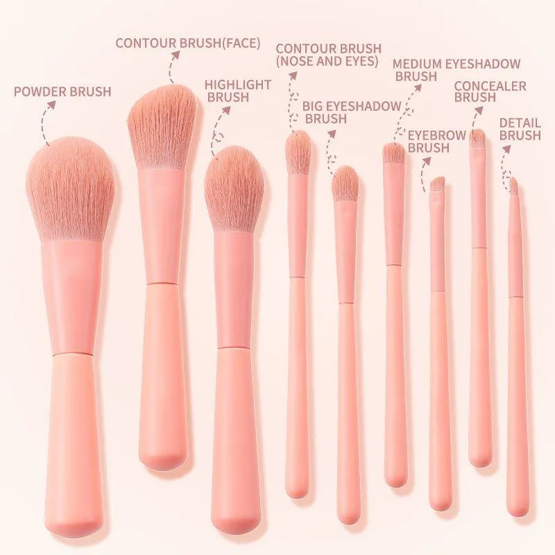 FEIYAN Brushes Pink  Brush set