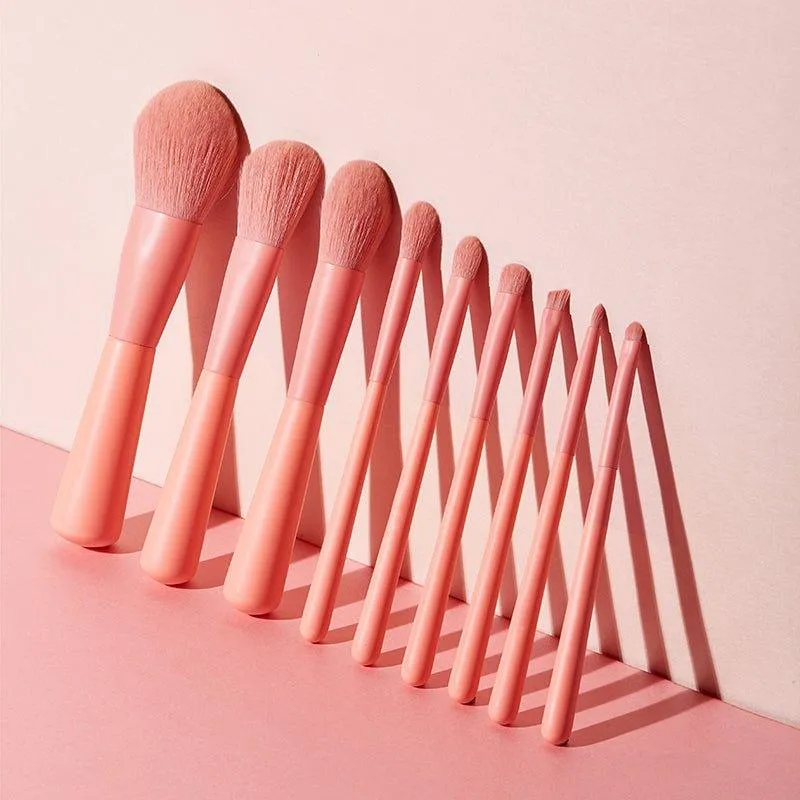 FEIYAN Brushes Pink  Brush set