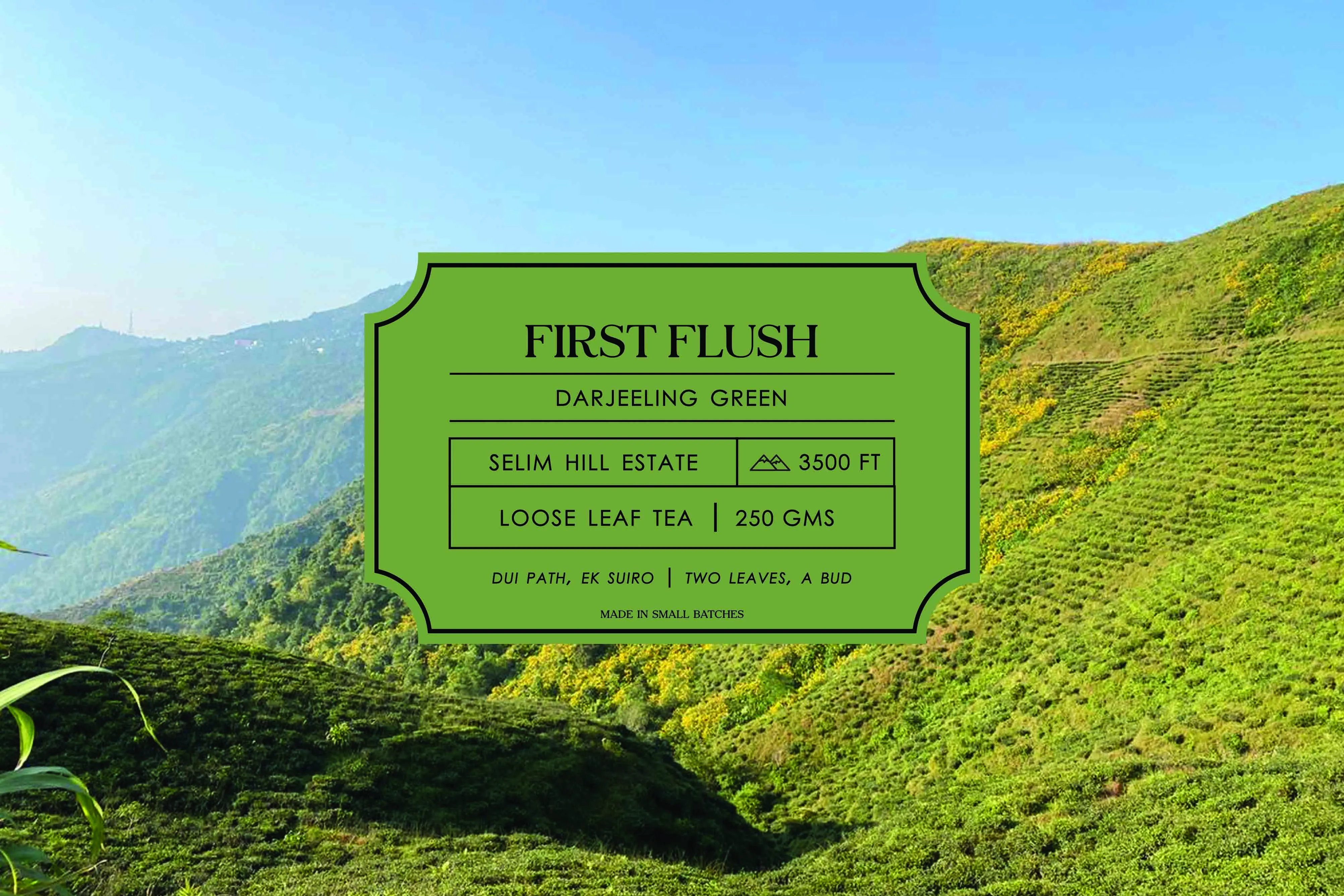 First Flush – Green Tea