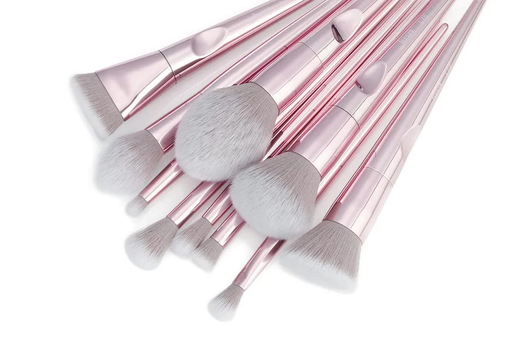 Luxury 10 Pcs Brush Set with Bag T260 CB003
