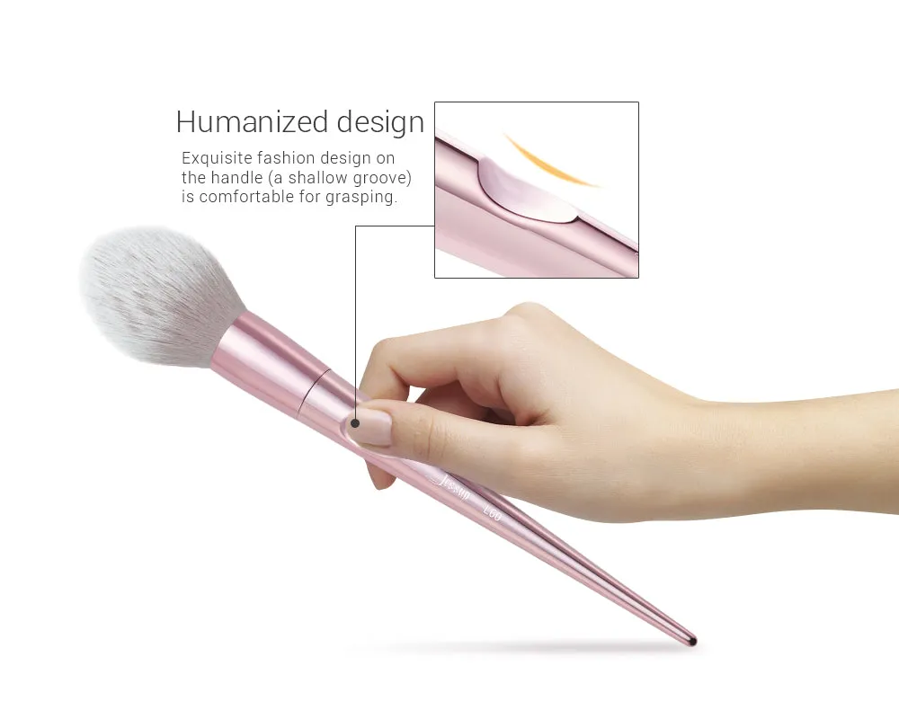 Luxury 10 Pcs Brush Set with Bag T260 CB003