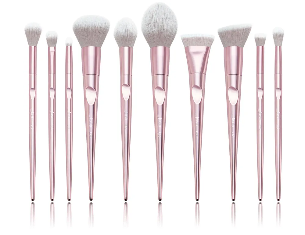 Luxury 10 Pcs Brush Set with Bag T260 CB003