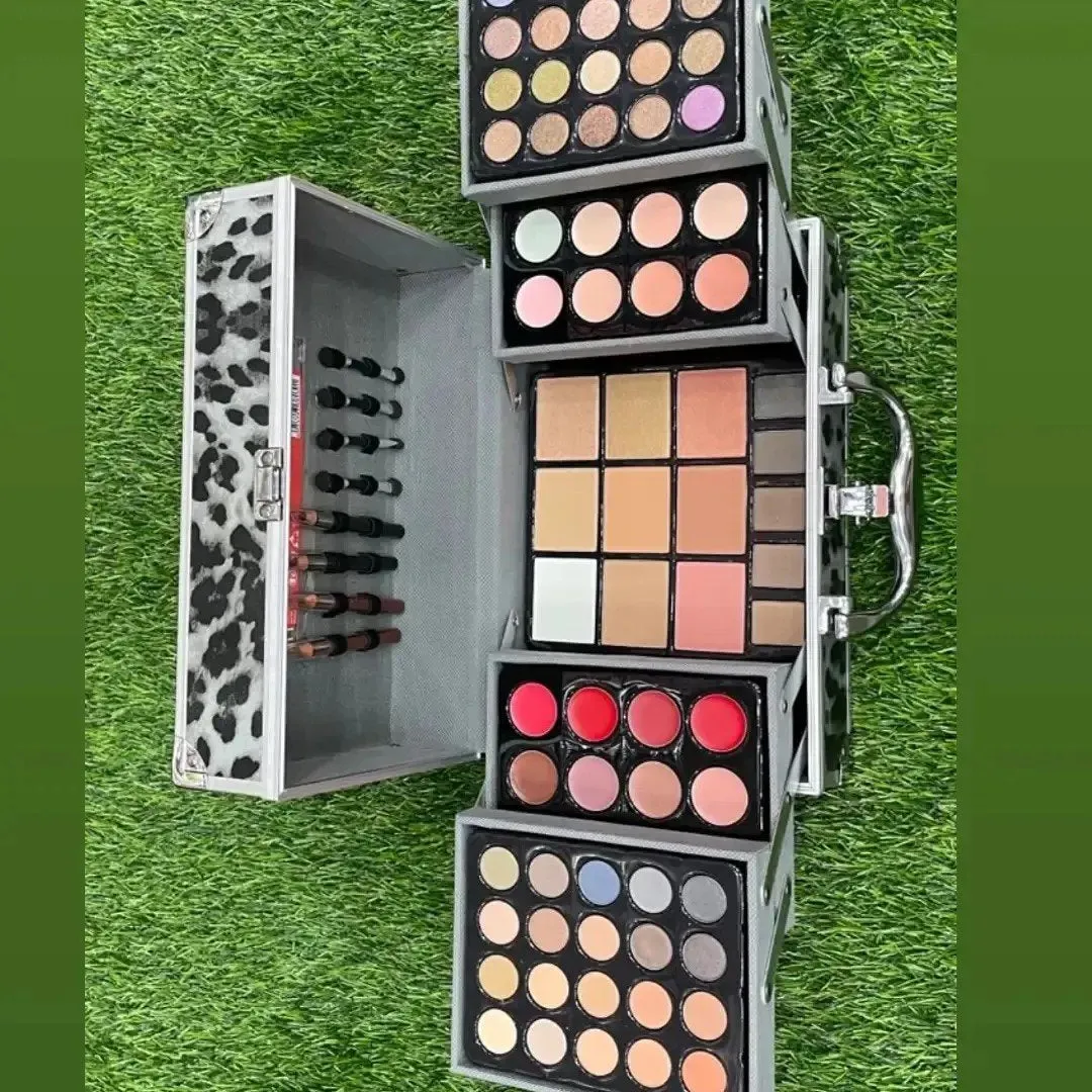 MISS ROSE New Professional Makeup Palette KIT