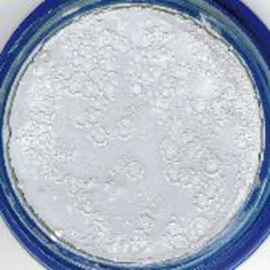 "Snazaroo Lt. Grey Cake Makeup - 18Ml"