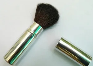 Retractable Blushers