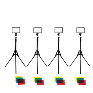 'Starter Video Package' Vlogging Audition Self Tape Streaming Lighting Kit - Bundle
