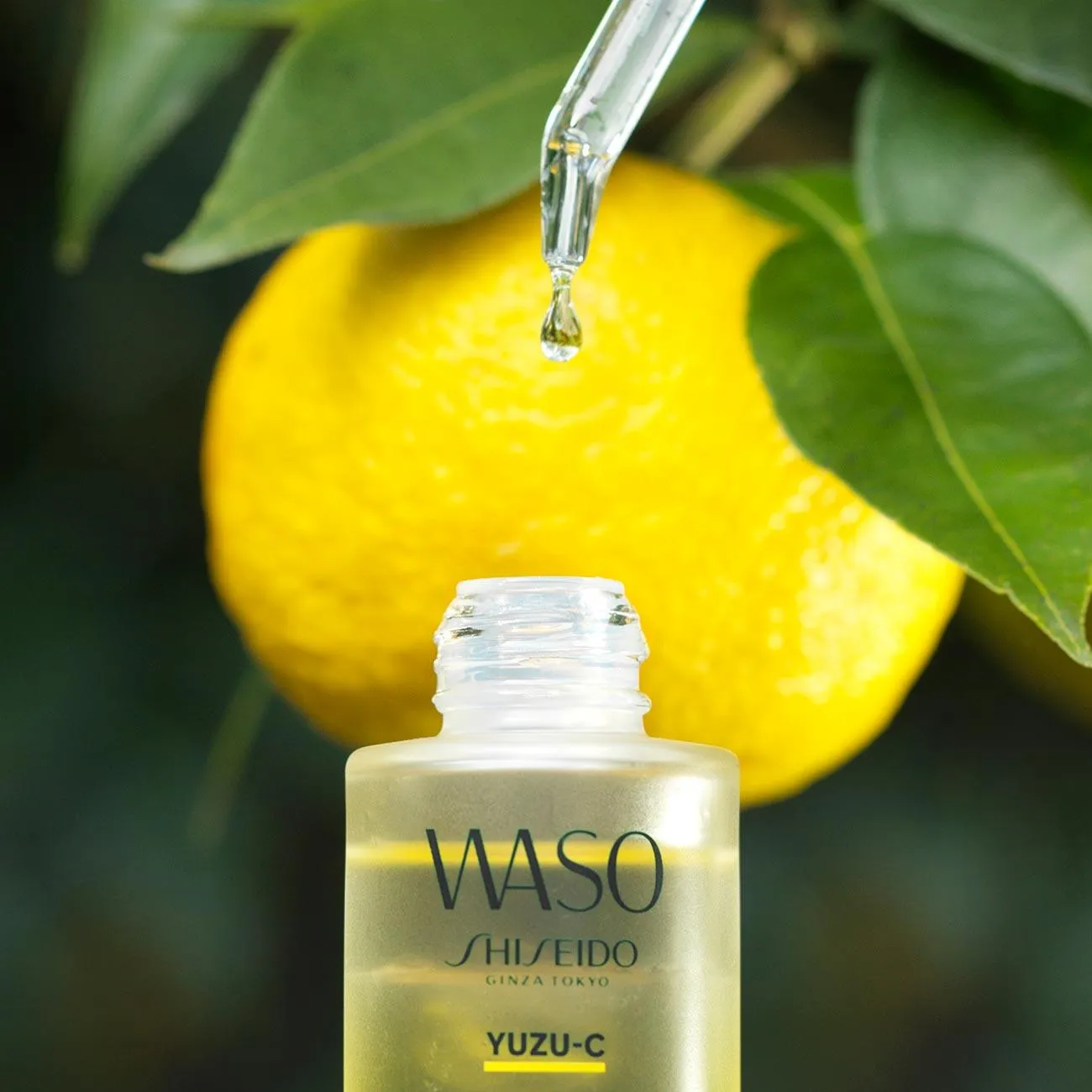 Waso YUZU-C Glow-On Shot Serum
